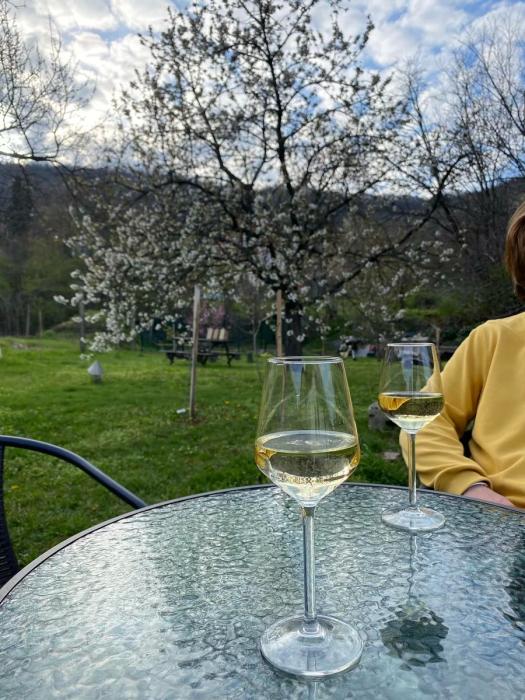 "Цены в магазинах стабильно меняются раз в месяц". Стоимость жизни в Венгрии, изучение языка, плюсы и минусы - личный опыт "Цены в магазинах стабильно меняются раз в месяц". Стоимость жизни в Венгрии, изучение языка, плюсы и минусы - личный опыт