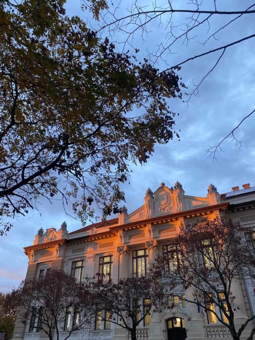 "Цены в магазинах стабильно меняются раз в месяц". Стоимость жизни в Венгрии, изучение языка, плюсы и минусы - личный опыт "Цены в магазинах стабильно меняются раз в месяц". Стоимость жизни в Венгрии, изучение языка, плюсы и минусы - личный опыт