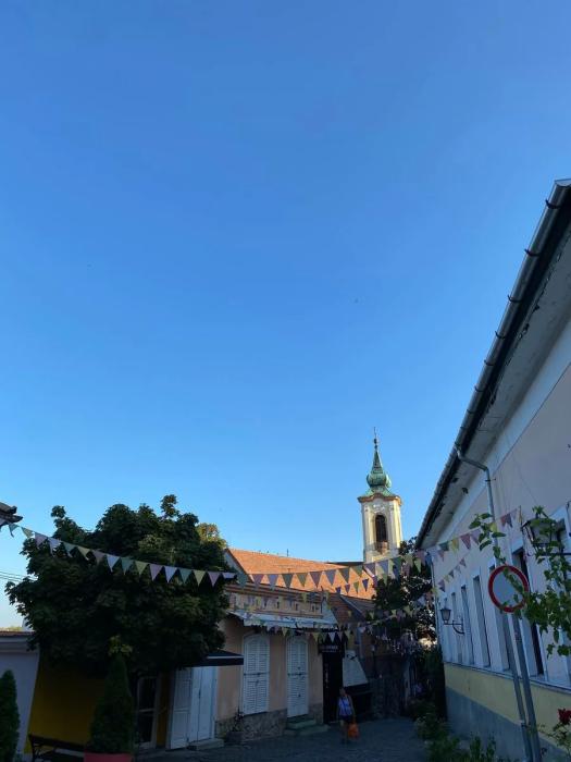 "Цены в магазинах стабильно меняются раз в месяц". Стоимость жизни в Венгрии, изучение языка, плюсы и минусы - личный опыт "Цены в магазинах стабильно меняются раз в месяц". Стоимость жизни в Венгрии, изучение языка, плюсы и минусы - личный опыт