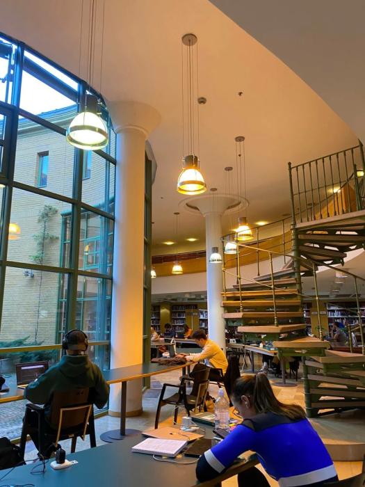 "Цены в магазинах стабильно меняются раз в месяц". Стоимость жизни в Венгрии, изучение языка, плюсы и минусы - личный опыт "Цены в магазинах стабильно меняются раз в месяц". Стоимость жизни в Венгрии, изучение языка, плюсы и минусы - личный опыт