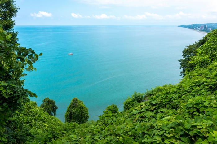 Выбираем квартиру в Батуми в 2024 году. Обзор рынка недвижимости Выбираем квартиру в Батуми в 2024 году. Обзор рынка недвижимости