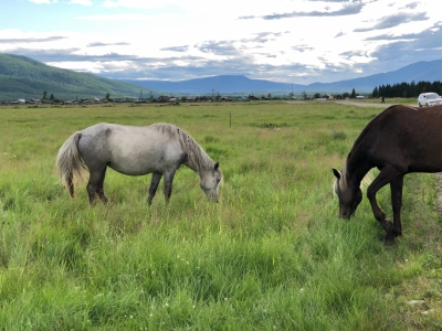 13 трендов мирового туризма в 2024 году 13 трендов мирового туризма в 2024 году