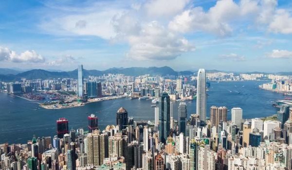 Nahaufnahme von leckeren, frisch gebackenen Schokoladenkeksen auf einem Kühlregal