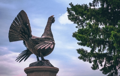 Спорим, вы любите Омск? Спорим, вы любите Омск?