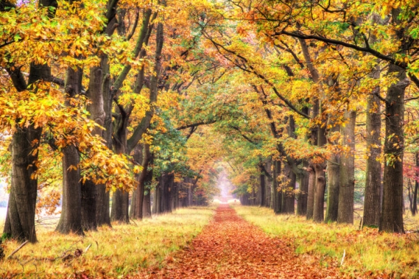 25 лучших достопримечательностей Нидерландов 2024 (ФОТО) 25 лучших достопримечательностей Нидерландов 2024 (ФОТО)