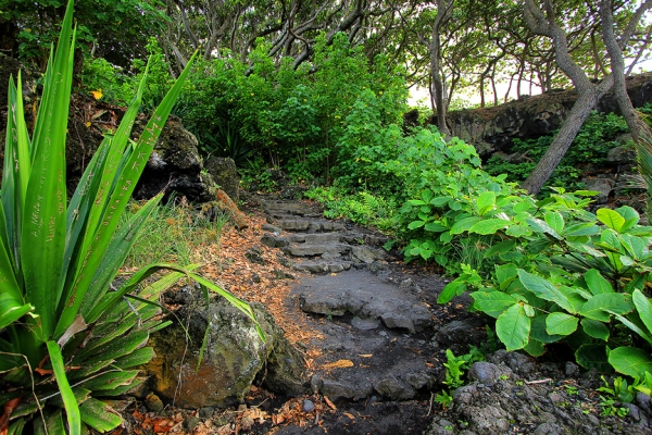 Сады острова Мауи