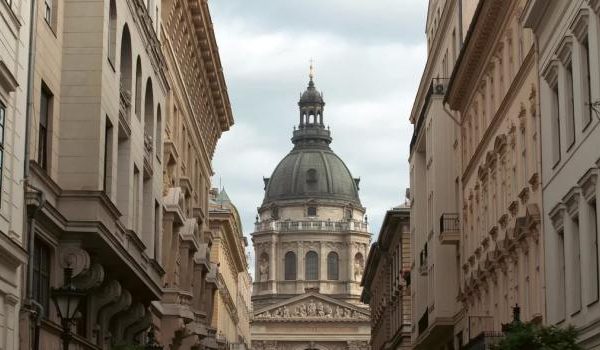 Nahaufnahme von frischen Bio-Blaubeeren auf einem Holztisch