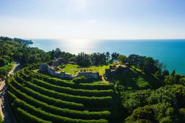 Nahaufnahme einer schönen gelben Tulpe in voller Blüte an einem sonnigen Tag.