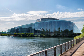 Nahaufnahme einer leuchtend gelben Sonnenblume in Blüte mit grünen Blättern im Hintergrund