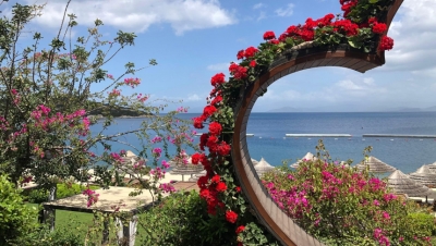 Close-up of fresh ripe strawberries in a wicker basket on a wooden table