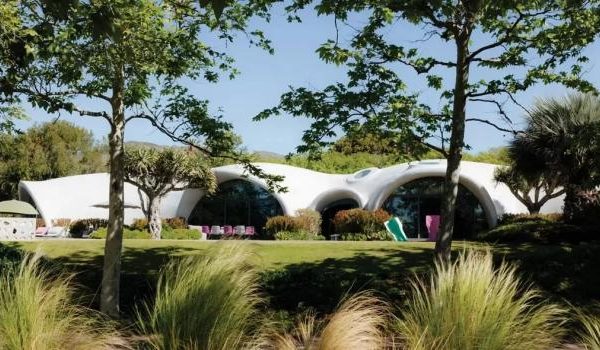 Nahaufnahme einer Frau, die Bio-Möhren im Garten hält