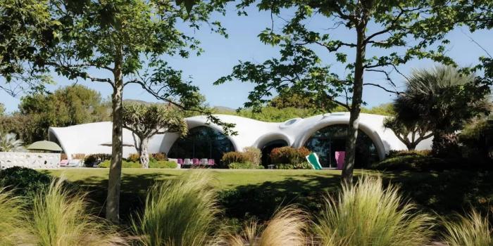 Nahaufnahme einer Frau, die Bio-Möhren im Garten hält