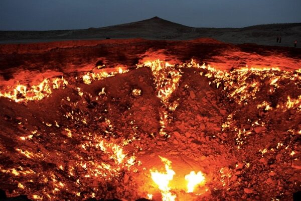 Top 10 der seltsamsten Kreaturen vom anderen Ende der Welt.