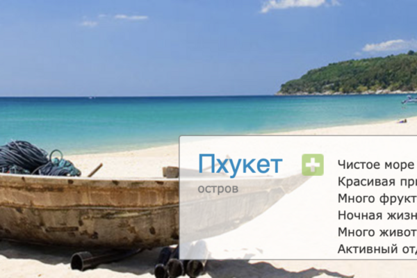 Modern office workspace with laptops, notebooks, and plants on desk