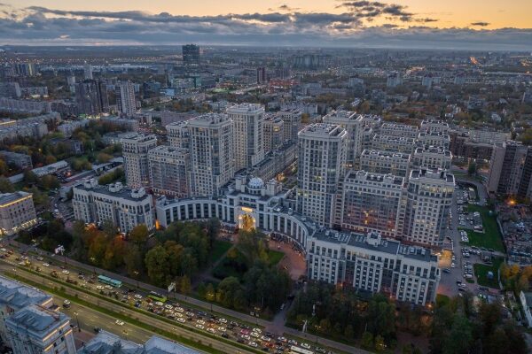 Nahaufnahme eines bunten Vogels mit leuchtenden Federn auf einem Ast.