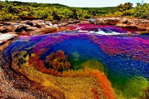 Eine farbenfrohe Weltkarte, die die mächtigsten Länder der Welt zeigt, wobei jedes Land durch eine andere Farbe dargestellt wird.
