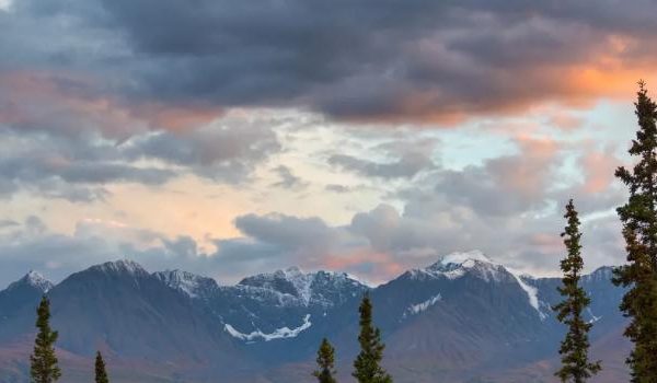 Schöner Sonnenuntergang über dem Meer mit Palmen als Silhouette im Vordergrund