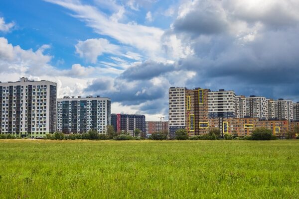 Nahaufnahme einer schönen roten Rose in voller Blüte in einem Garten.
