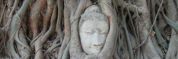 A beautiful close-up shot of a vibrant red rose with dew drops on the petals.