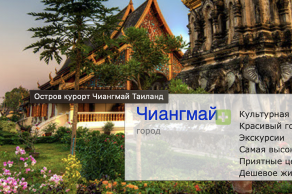 Close-up shot of a vibrant green succulent plant with red and purple tips on leaves.