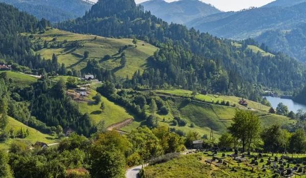 Nahaufnahme eines bunten Blumenstraußes aus frisch gepflückten Blumen an einem sonnigen Tag.