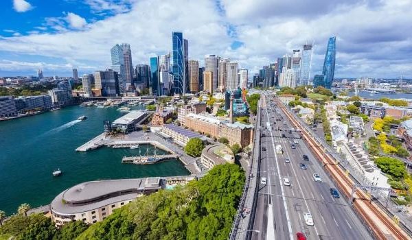 Nahaufnahme von blühenden roten Tulpen in einem Garten