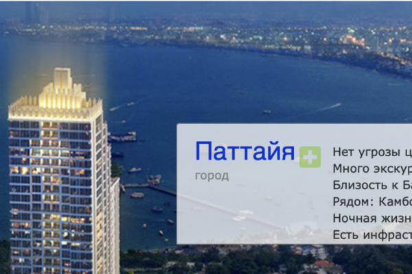 Schöner grüner Wald mit Sonnenlicht, das durch die Bäume fällt