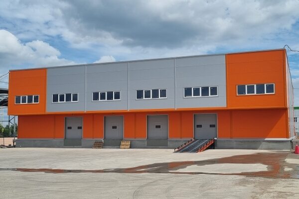 Beautiful field of blooming sunflowers under a sunny sky