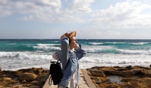 Nahaufnahme von bunten Herbstblättern an einem sonnigen Tag