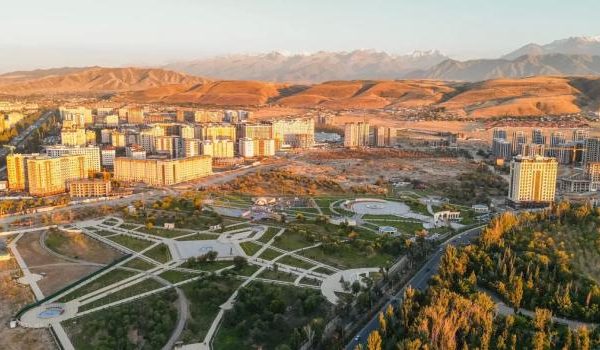 Wunderschöne Kirschblüten, die im Frühling unter einem klaren blauen Himmel blühen.
