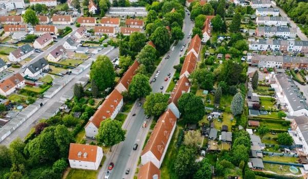 Nahaufnahme einer leuchtend gelben Sonnenblume, die in einem Garten blüht