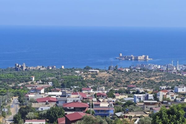 Professionelle Grafikdesign-Software auf einem Computerbildschirm