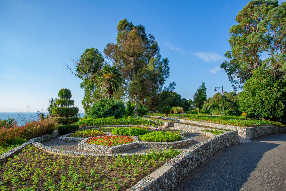 Батумский ботанический сад