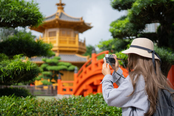 Blauer und gelber Ara auf einem Ast im Regenwald.