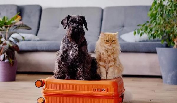 Bunte abstrakte Malerei mit geometrischen Formen auf weißem Hintergrund