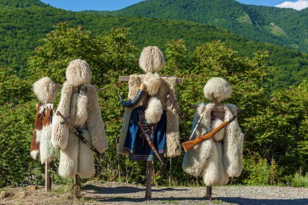 Nahaufnahme von leuchtend roten und gelben Tulpen in einem Garten