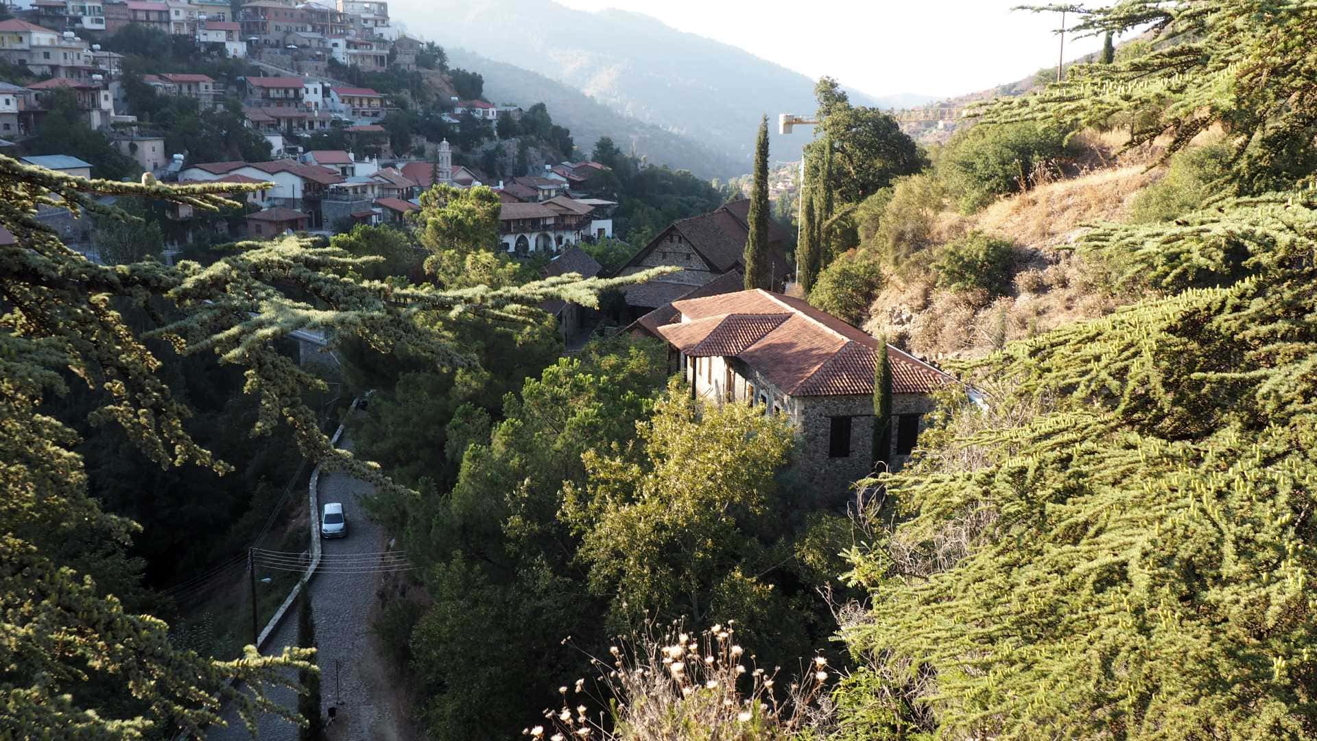 Zbliżenie pięknej czerwonej róży z kroplami rosy na płatkach, odizolowane na białym tle.
