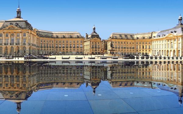 Nahaufnahme von bunten Blumen in einem Garten