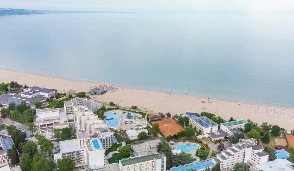 Nahaufnahme von frischen Erdbeeren auf einem Holztisch