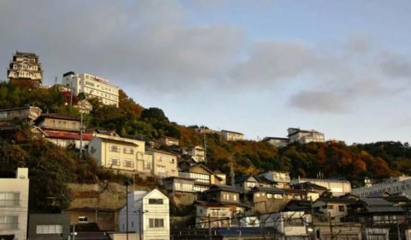 Eine Nahaufnahme einer schönen Sonnenblume in voller Blüte an einem sonnigen Tag.