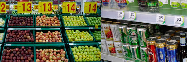 Close-up of green succulent plant with water droplets in sunlight