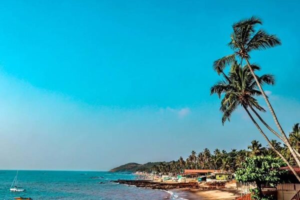 Ein köstlicher und bunter Obstsalat in einer weißen Schale auf einem Holztisch.