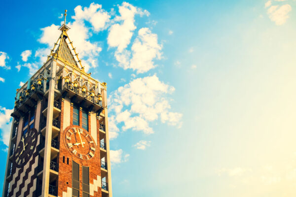Nahaufnahme einer leuchtend roten und gelben Blume in voller Blüte mit grünen Blättern im Hintergrund