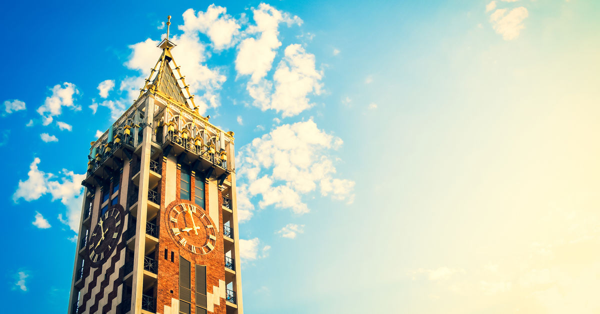 Nahaufnahme einer leuchtend roten und gelben Blume in voller Blüte mit grünen Blättern im Hintergrund