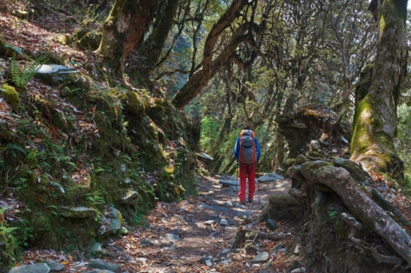 Достопримечательности Непала: Топ-21