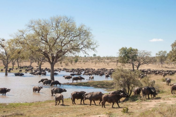 Достопримечательности Шри-Ланки: Топ-22