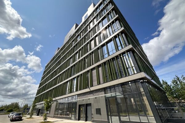A young woman with long brown hair sitting on a rock by the ocean, looking out into the distance on a sunny day.