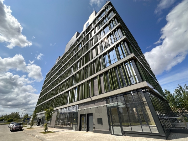 Eine junge Frau mit langen braunen Haaren sitzt auf einem Felsen am Meer und blickt an einem sonnigen Tag in die Ferne.