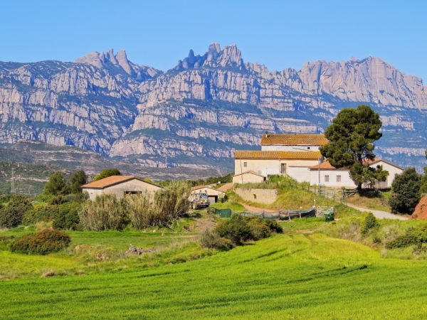 18 причин поехать в Барселону 18 причин поехать в Барселону