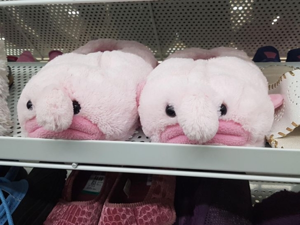 22 интересных и странных товара из магазинов разных стран 22 интересных и странных товара из магазинов разных стран